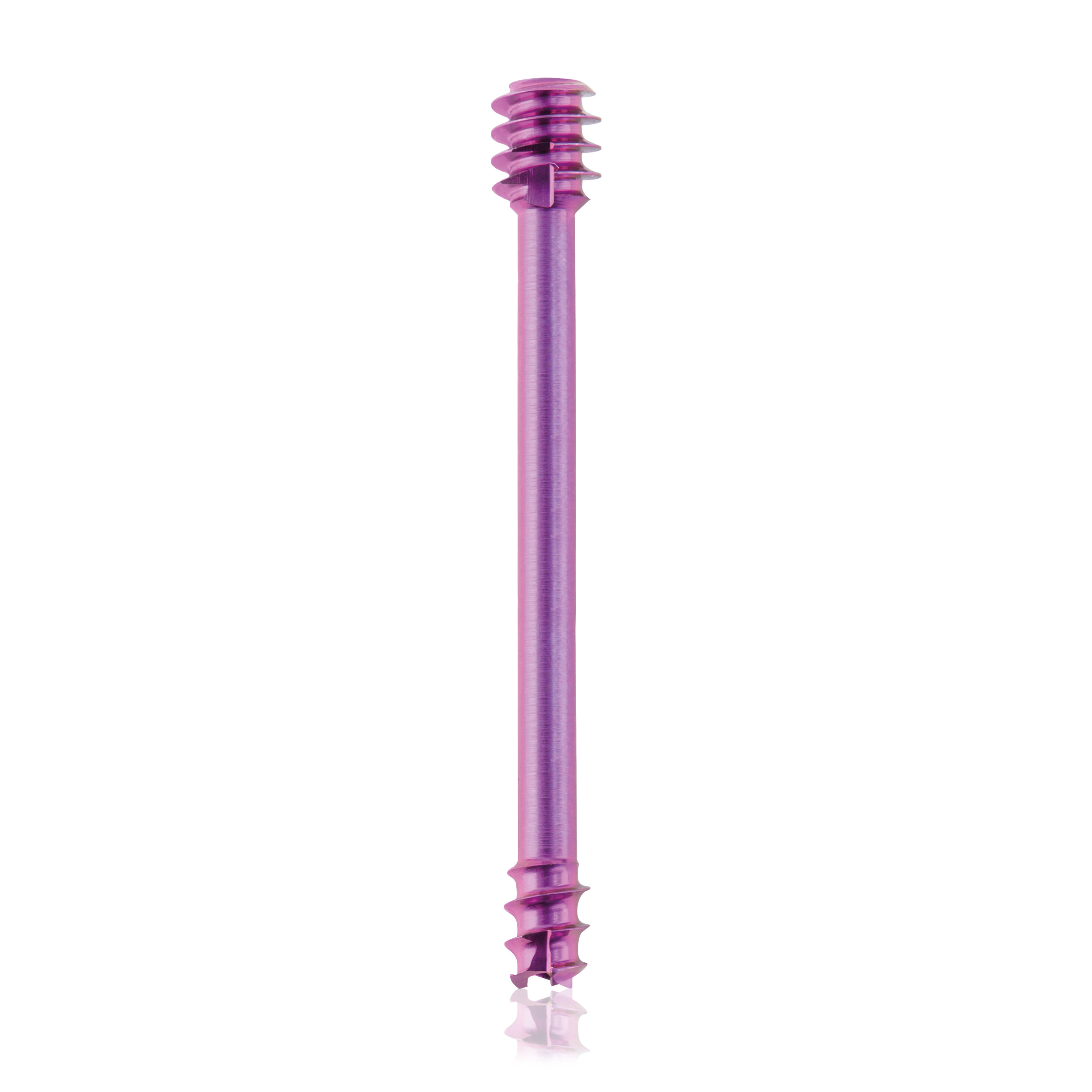 L = 24mm